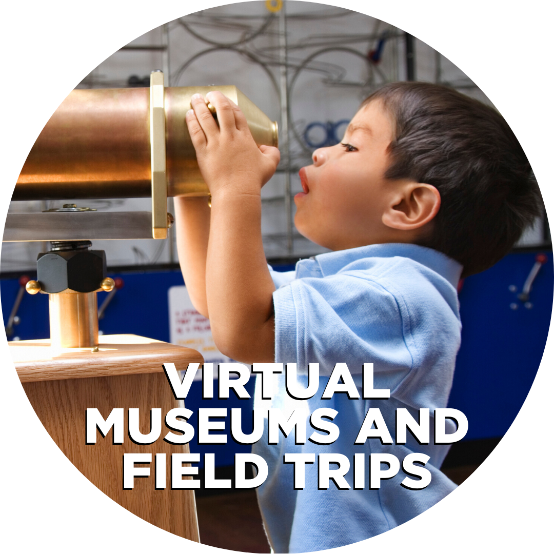 Virtual museums and field trips